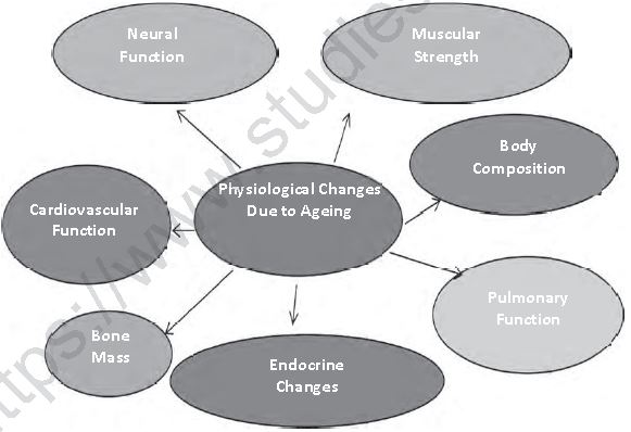 CBSE Class 12 Physical Education Physiology And Injuries In Sports Notes